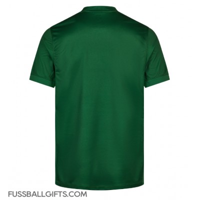 Wolfsburg Fußballbekleidung Heimtrikot 2025-26 Kurzarm Wolfsburg Fußballbekleidung Heimtrikot 2025-26 Kurzarm